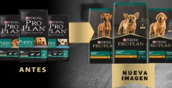 Purina Pro Plan Puppy Razas Medianas con OptiStar 3kg