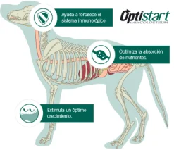 Purina Pro Plan Puppy Razas Medianas con OptiStar 3kg