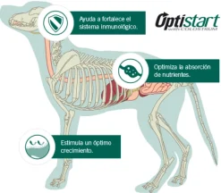 Purina Pro Plan Puppy Small con OptiStar 7.5kg