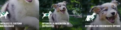 Purina Pro Plan Puppy Small con OptiStar 7.5kg