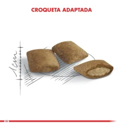 Royal Canin Ageing 12+ años 2kg