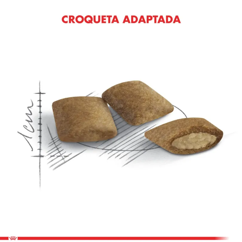 Royal Canin Ageing 12+ años 2kg