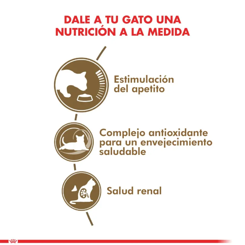 Royal Canin Ageing 12+ años 2kg