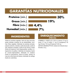Royal Canin Ageing 12+ años 2kg
