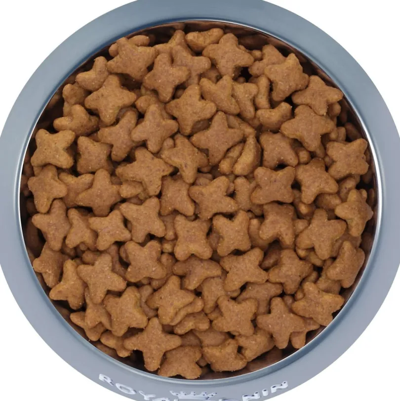 Royal Canin Beagle Adulto 3kg