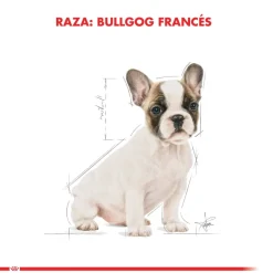 Royal Canin Bulldog Frances Junior 3kg