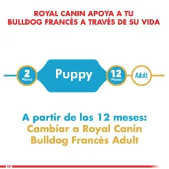 Royal Canin Bulldog Frances Junior 3kg