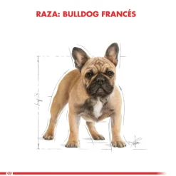 Royal Canin Bulldog Frances Adulto 3kg