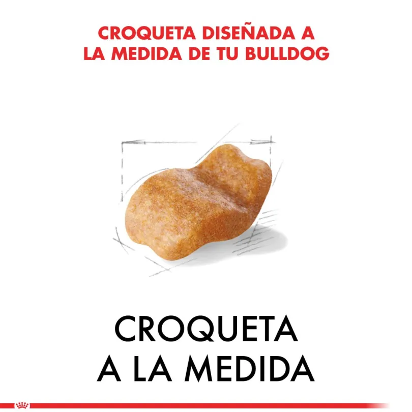 Royal Canin Bulldog Ingles Adulto 12kg