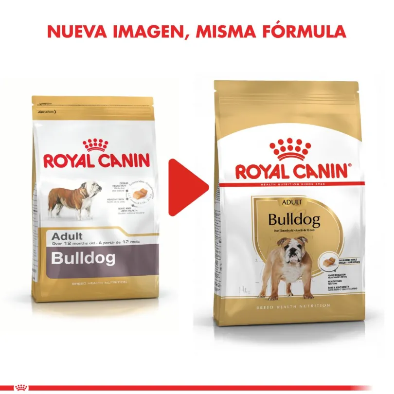 Royal Canin Bulldog Ingles Adulto 12kg