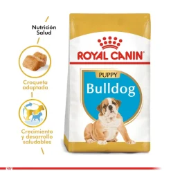 Royal Canin Bulldog Ingles Junior 12kg