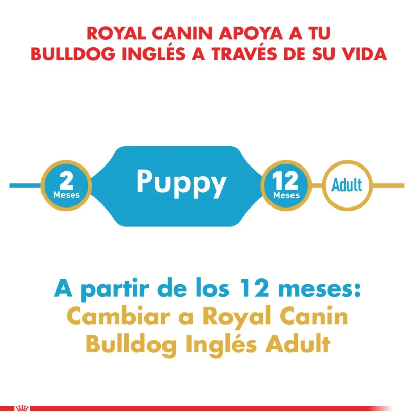Royal Canin Bulldog Ingles Junior 12kg