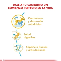 Royal Canin Bulldog Ingles Junior 12kg