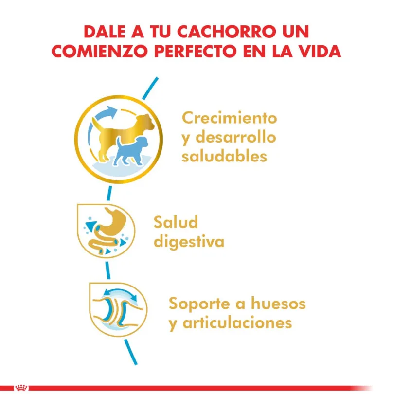 Royal Canin Bulldog Ingles Junior 12kg