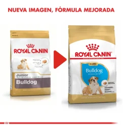 Royal Canin Bulldog Ingles Junior 12kg