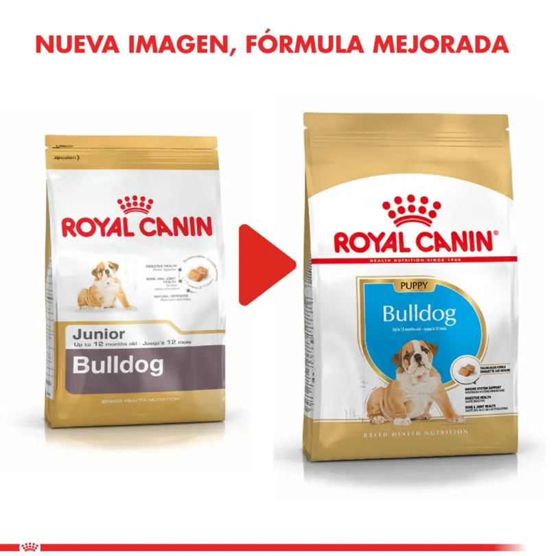Royal Canin Bulldog Ingles Junior 12kg