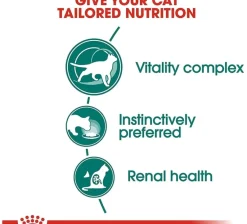 Royal Canin Cat 7+ Pouch 85gr x 12 unidades