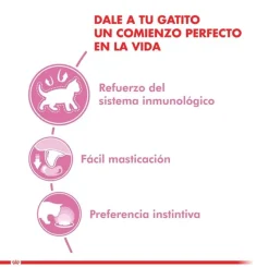 Royal Canin Cat Kitten Pouch 85gr X 12 unidades
