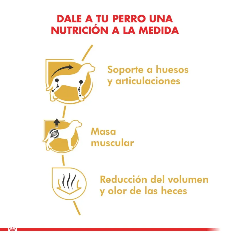 Royal Canin Dachshund Teckel 2.5kg