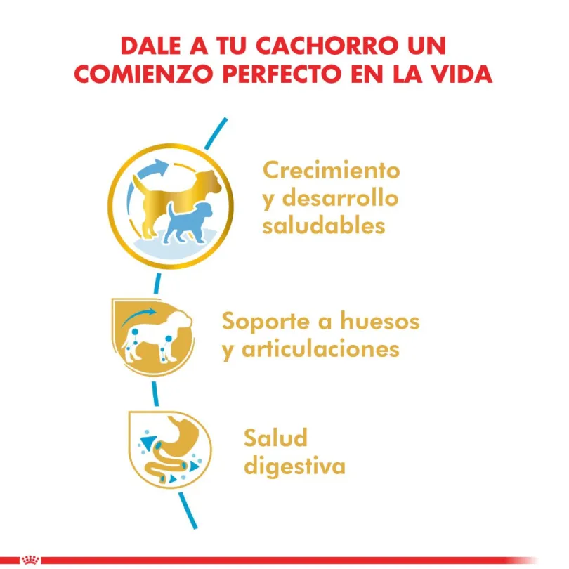 Royal Canin Dachshund Teckel Junior 3kg