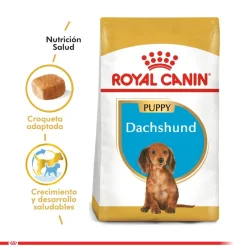 Royal Canin Dachshund Teckel Junior 2.5kg