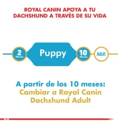Royal Canin Dachshund Teckel Junior 2.5kg