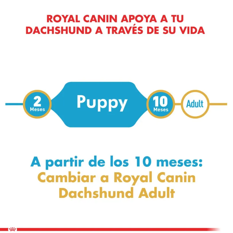 Royal Canin Dachshund Teckel Junior 2.5kg
