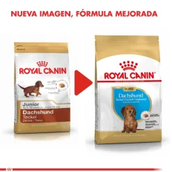 Royal Canin Dachshund Teckel Junior 2.5kg