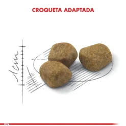 Royal Canin Fit 32 1.5kg