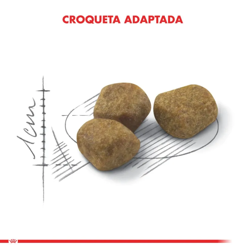 Royal Canin Fit 32 1.5kg