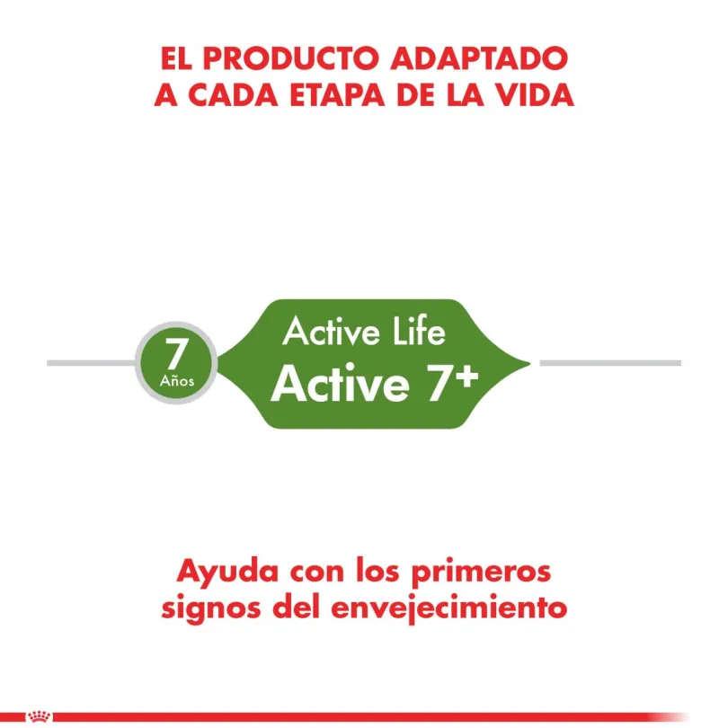 Royal Canin Gato Active 7+ 1.5kg