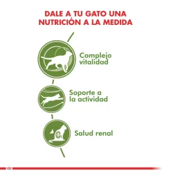 Royal Canin Gato Active 7+ 1.5kg