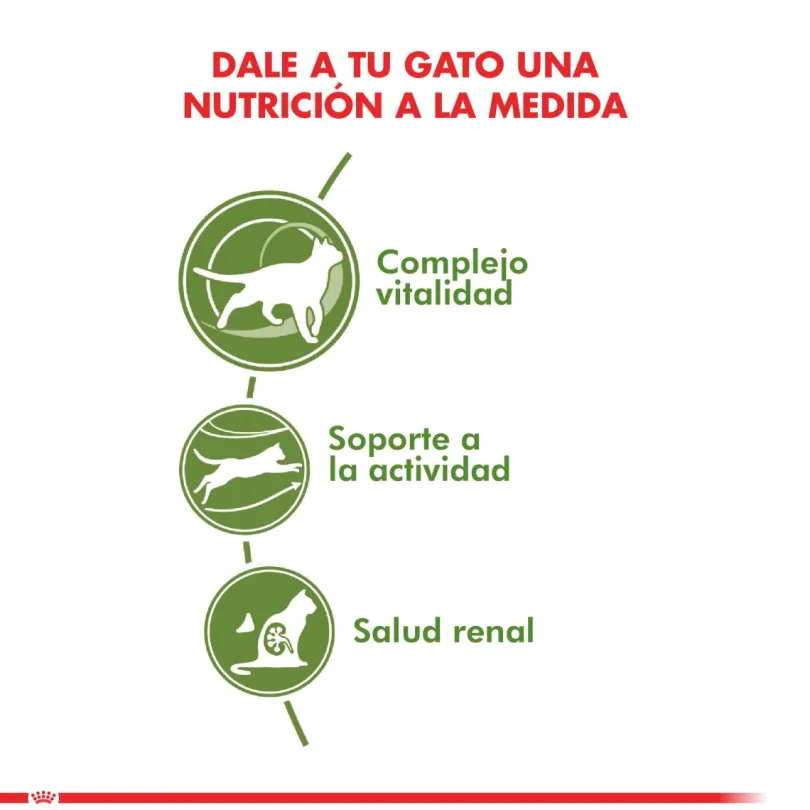 Royal Canin Gato Active 7+ 1.5kg