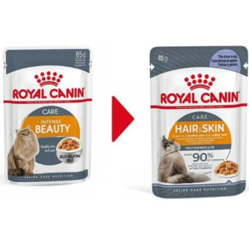 Royal Canin Gato Adulto Hair & Skin (INTENSE BEAUTY)