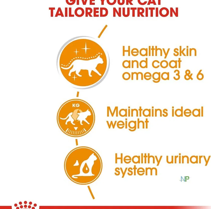 Royal Canin Gato Adulto Hair & Skin (INTENSE BEAUTY)