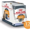 Royal Canin Gato Adulto Hair & Skin (Intense Beauty) Pouch 85gr x 12 unidades