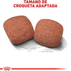 Royal Canin Giant Adulto 15kg