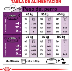 Royal Canin Giant Adulto 15kg
