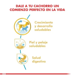 Royal Canin Golden Retriever Junior 12kg