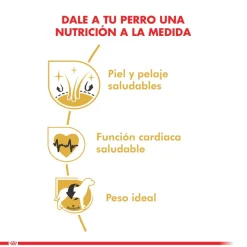 Royal Canin Golden Retriever Adulto 12kg