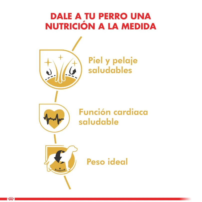 Royal Canin Golden Retriever Adulto 12kg