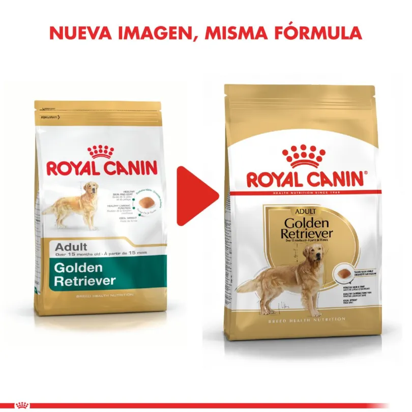 Royal Canin Golden Retriever Adulto 12kg