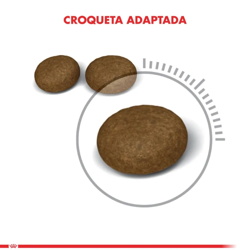 Royal Canin Hair And Skin 1.5kg
