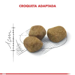 Royal Canin Indoor 7+ 7.5kg