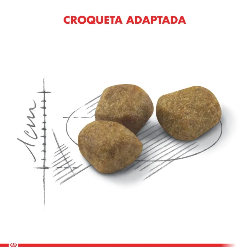 Royal Canin Indoor 7+ 2kg
