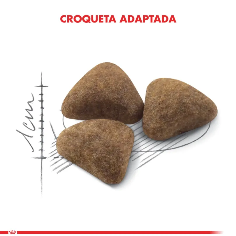 Royal Canin Indoor 7.5kg