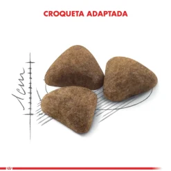 Royal Canin Indoor 1.5kg