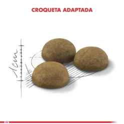 Royal Canin Indoor Long Hair 2kg