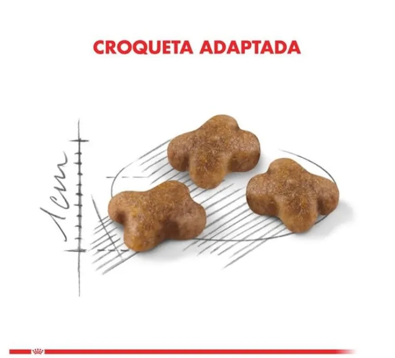 Royal Canin Kitten 400gr