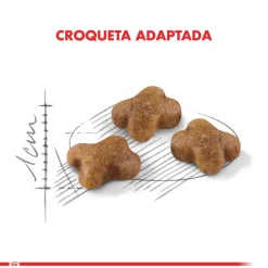 Royal Canin Kitten 1.5kg
